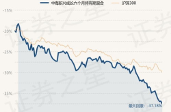 中海成长基金净值,稳健增长背后的投资策略