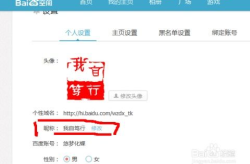 百度昵称,揭秘个性与情感的交织